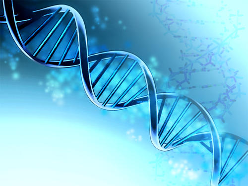 貴陽動物細胞實驗基地